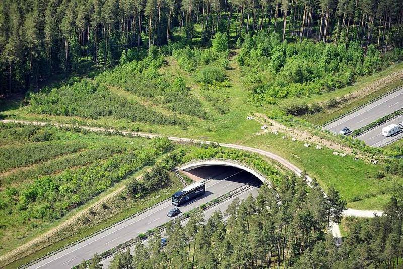 На трассе М-1 построят еще один экодук