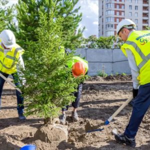 Возле строящейся «СКА Арены» высадили первые деревья